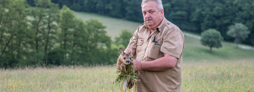 Jagdrevier Rehkitz Rettung, Wildschwein Suche, Jagdrevier, Infrarot Kamera, Drohne, Wärmebild