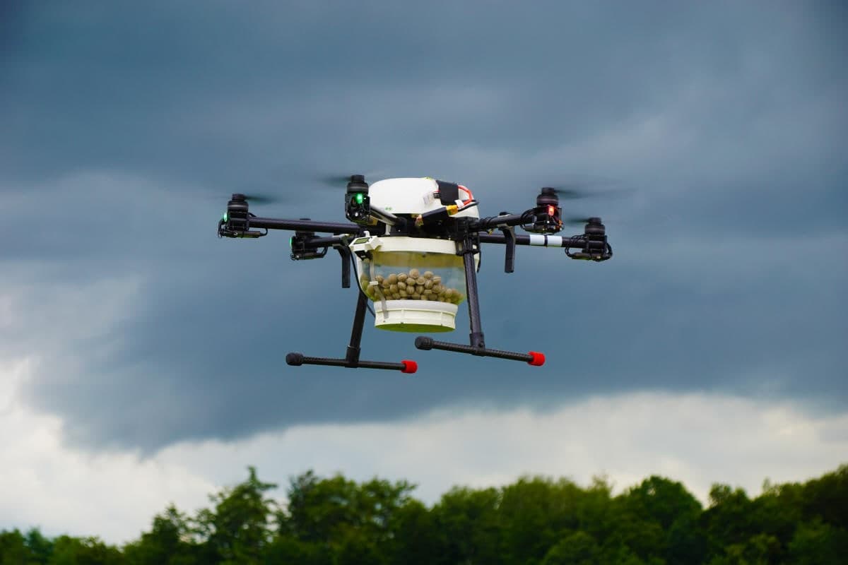 Drohne im Flug über dem Maisbestand