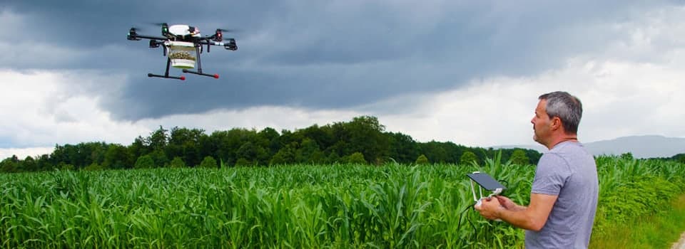 Drohne mit Streubehälter über einem Maisschlag, der Pilot steuert sie vom Feldrand